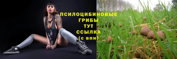 не бодяженный Зеленодольск