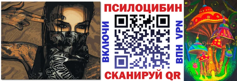 МЕГА tor  Чекалин  Псилоцибиновые грибы GOLDEN TEACHER 